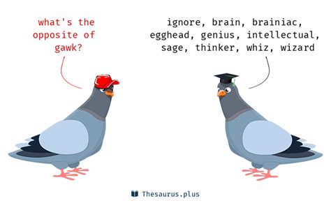 gawk antonyms|GAWK Synonyms: 173 Similar and Opposite Words